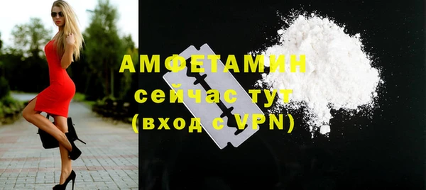 твердый Аркадак