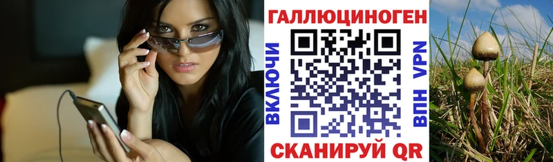 где купить наркоту  Советская Гавань  Псилоцибиновые грибы Cubensis 
